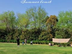 -上海吴淞炮台湾国家湿地公园