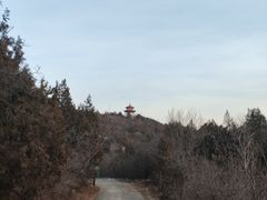 -府君山公园