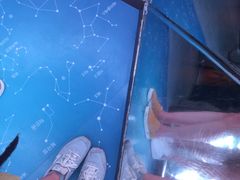 -信不信由你博物馆