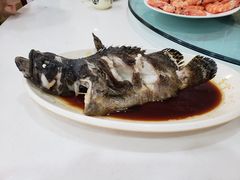 石斑鱼-南海渔家•海鲜•正宗海南菜(海棠湾店)