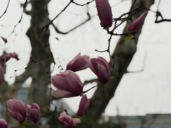 -杭州湖滨银泰in77