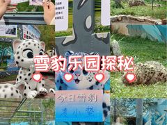 -青藏高原野生动物园