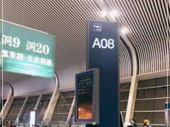 -合肥新桥国际机场-航站楼