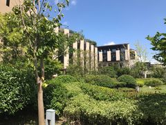 -上海崇明金茂凯悦酒店