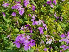 -艾溪湖湿地公园