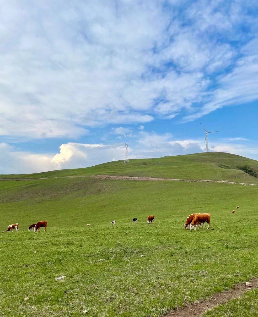 3日游坝上草原公司团建方案