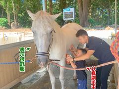 -名驭国际马术学院