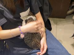 -谜盒子奇幻密室(南屏店)