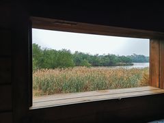 -华侨城湿地公园