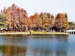 -四海公园(南山区)