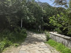 -阳台山自然风景区