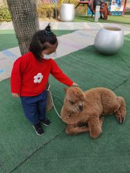 -萌宠亲子动物乐园(槐房万达店)