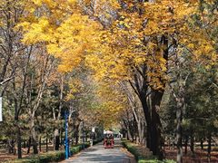 -森林公园(尖草坪区)