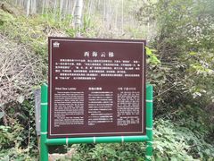 -塔川景区