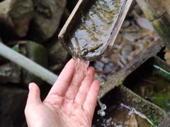 -宁波浙东大竹海景区