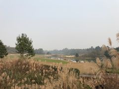 -成都蒲江花样年福朋喜来登度假酒店·宜客乐西餐厅