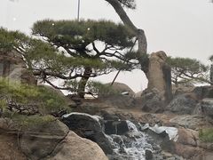 -罗红摄影艺术馆