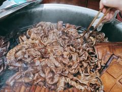-天发芽·何记葫芦头泡馍·老字号(小南门店)