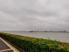 -海鸥岛