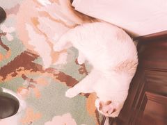 -马路边边串串香(双井直营店)