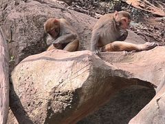 -普洱太阳河森林公园
