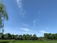 -大兴滨河森林公园