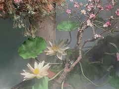 -叶叶菩提·晋福宫