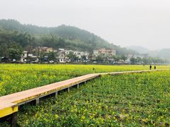 -红山村