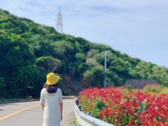 -枸杞岛