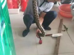 -龚师傅土菜馆.地道农家菜(魅力湘西店)