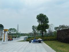 -王借岗森林公园