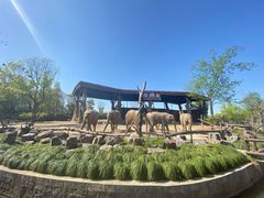 -上海野生动物园