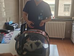 -北京观赏动物医院·24小时大型综合·猫专科·异宠专科