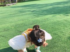 -合肥滨湖国家森林公园