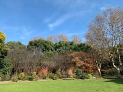 -上海共青森林公园