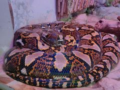 -北京野生动物园