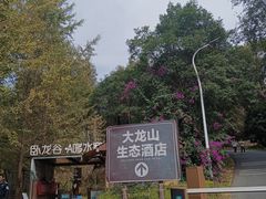 -大余丫山旅游度假区