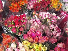 -循礼门鲜花花市(武汉循礼门店)