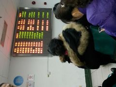 -华中科技大学同济医学院附属同济医院(汉口院区)