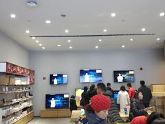 -小米之家(西安王府井熙地港店)
