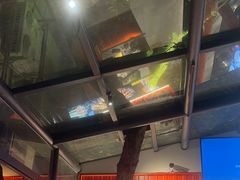 -海岛八号龙虾烧烤田鸡(蓝天路总店)