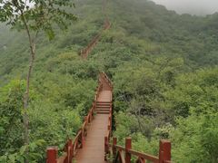 -大岭沟猕猴桃谷风景区