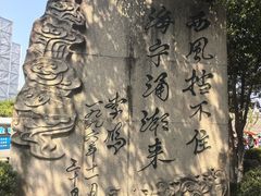 -观潮胜地公园