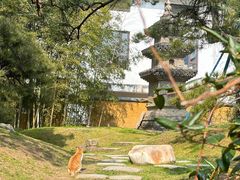 -龙华寺