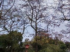 -广州中山纪念堂