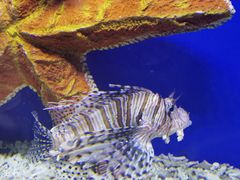-海合安青岛极地海洋公园