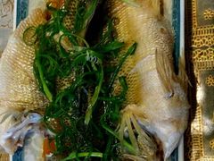 -葱妈母婴医护月嫂中心(浦东店)