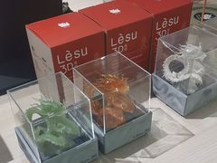 -乐物派3D打印体验工坊