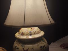 -樱蘭全息养生馆(三里屯店)