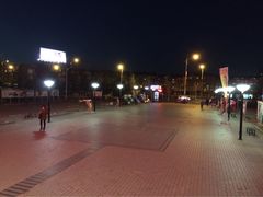 -卜蜂莲花(辽阳西路店)